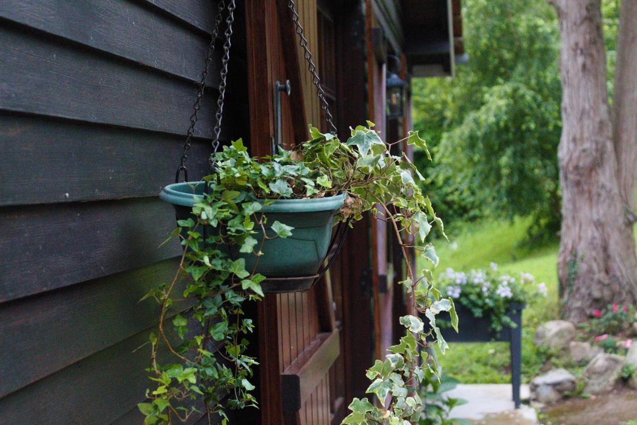 Вилла Chalet Des Sept Pins Marles-sur-Canche Экстерьер фото